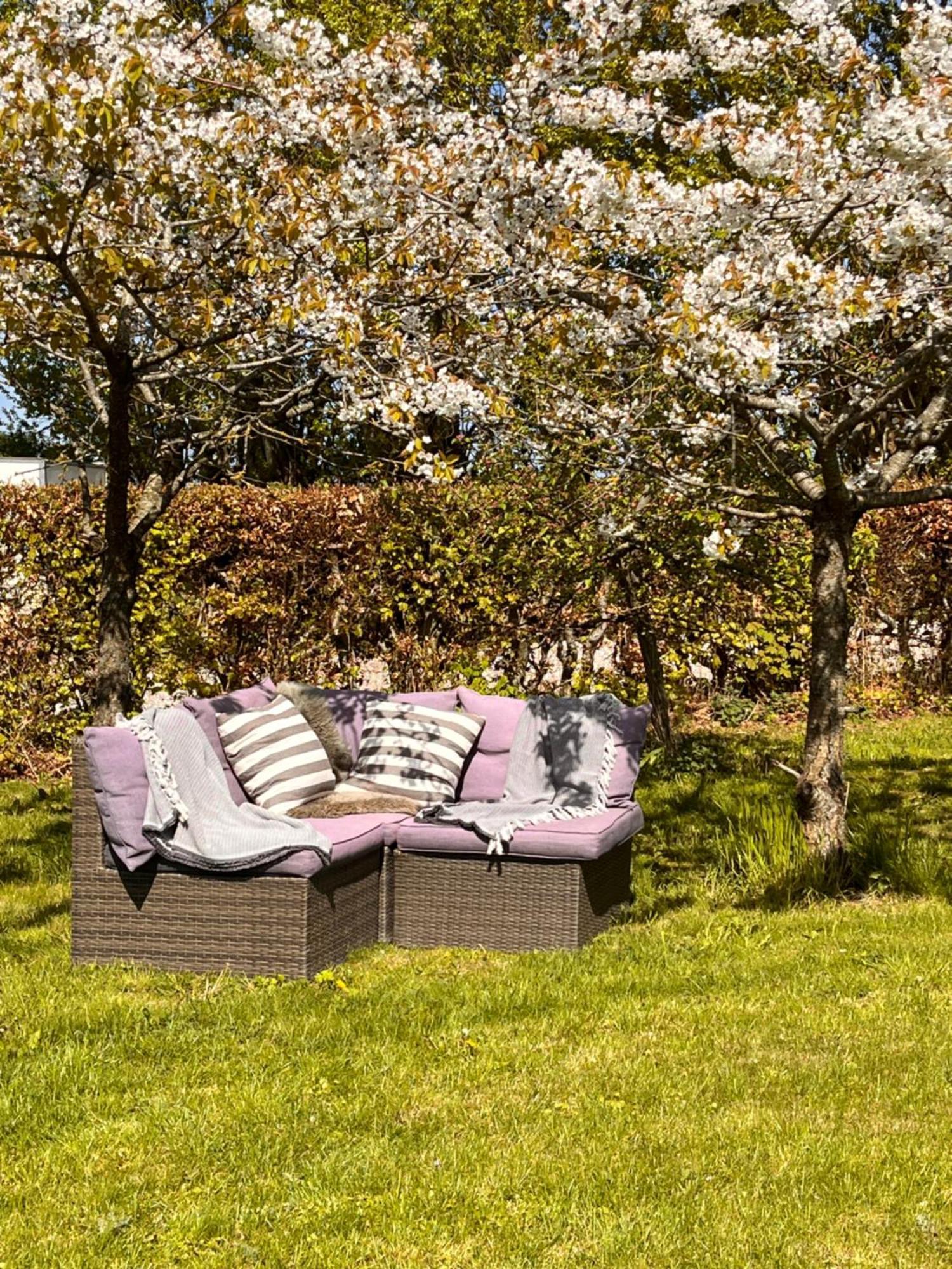 Munkgaard Inn & Outdoor Rødvig Dış mekan fotoğraf